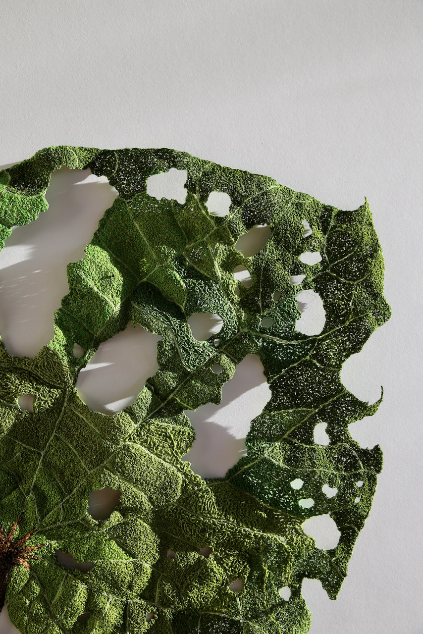 Giant Kawakawa Leaf 3D Thread Sculpture #7.