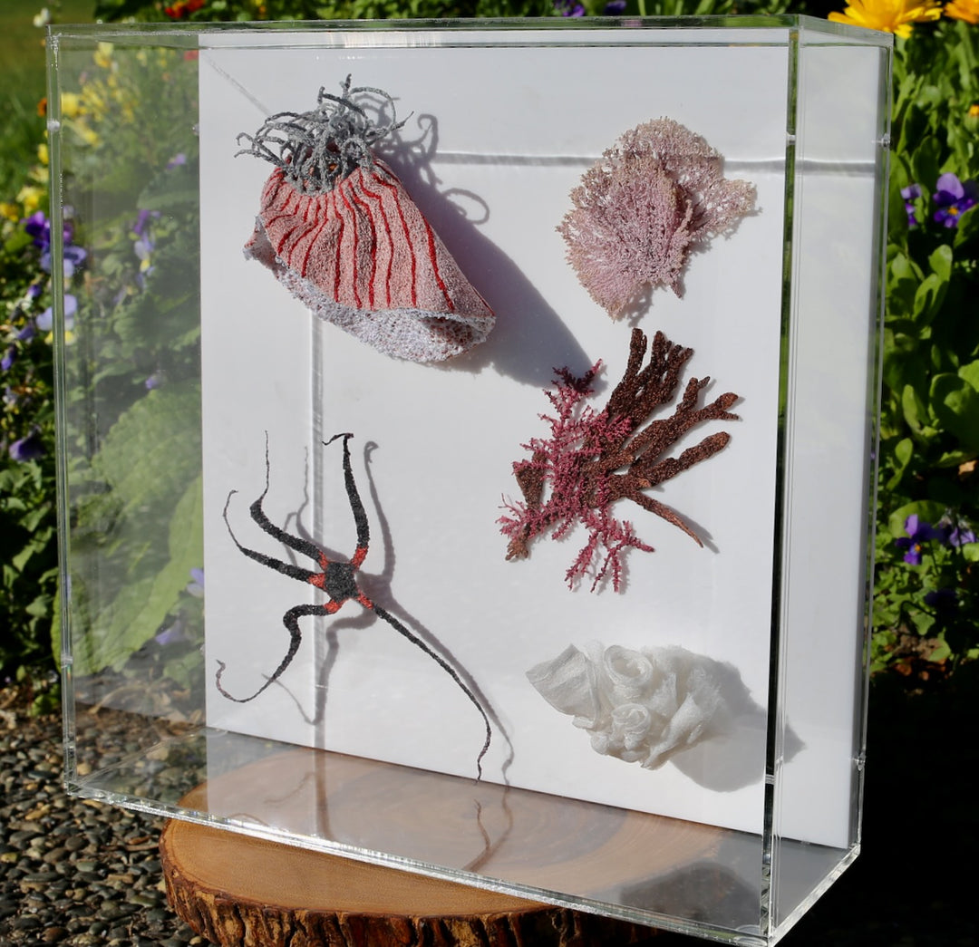 NZ Under the Sea 3d thread sculpture.