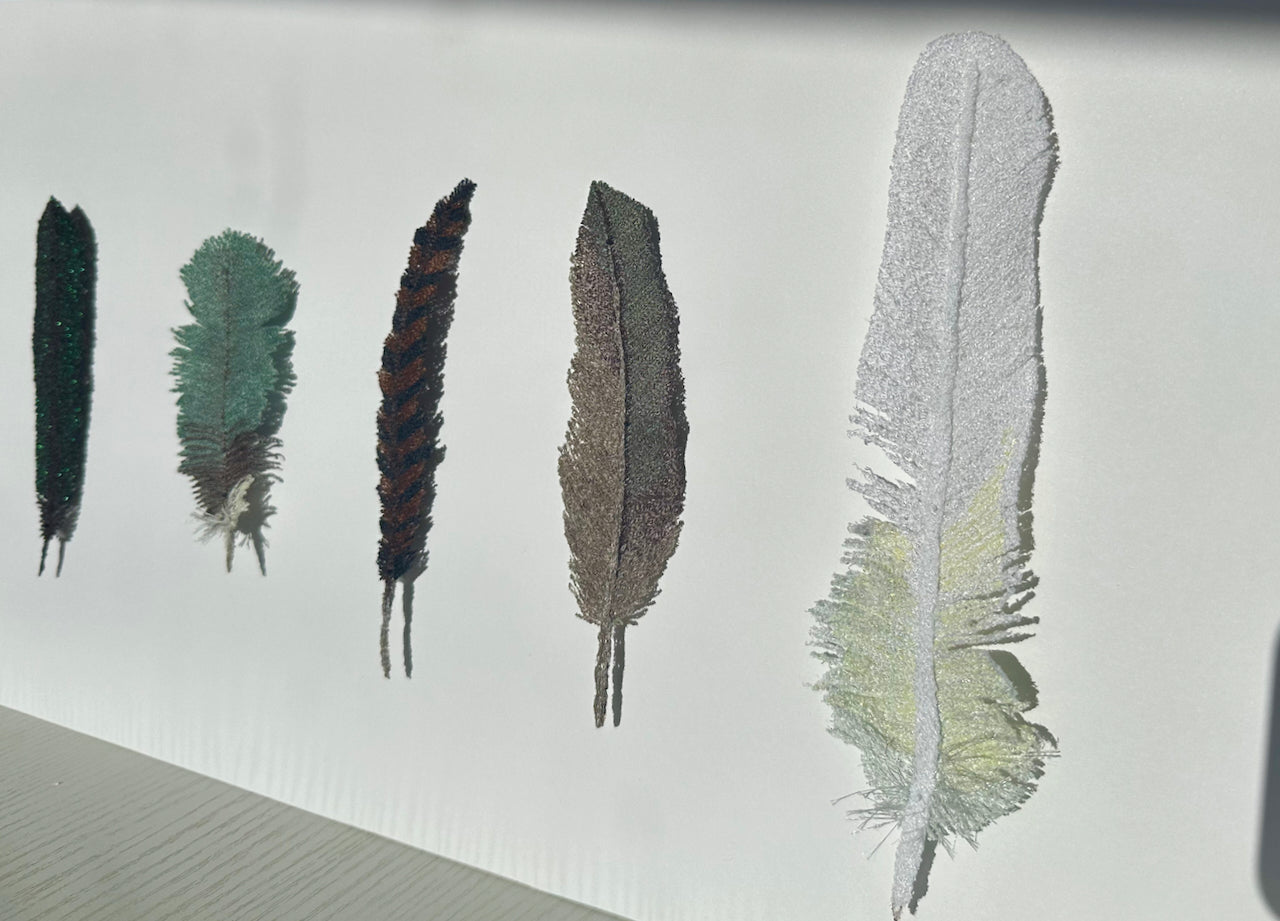 NZ bird feathers 3D Thread Sculpture.