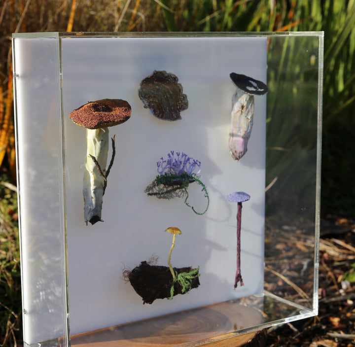 Fungi of New Zealand 3D Thread Sculpture #16.