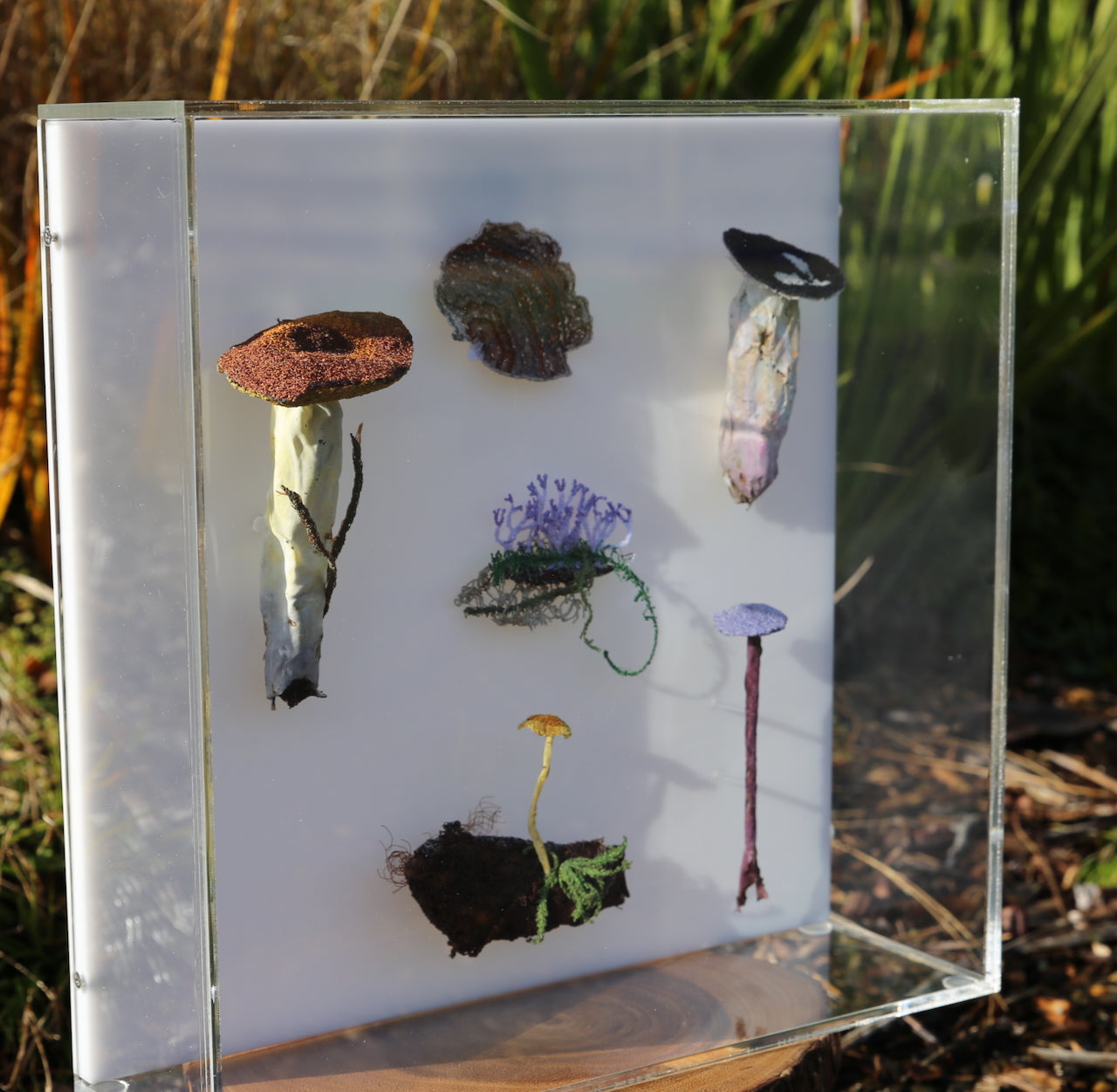 Fungi of New Zealand 3D Thread Sculpture #16.