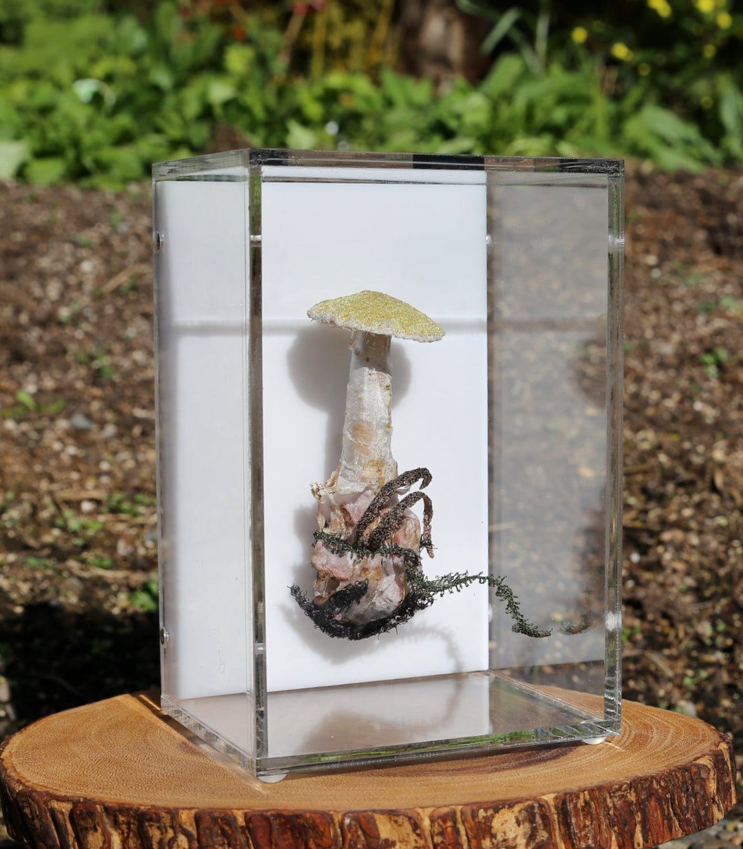 Deathcap Fungi 3D Thread Sculpture #10.