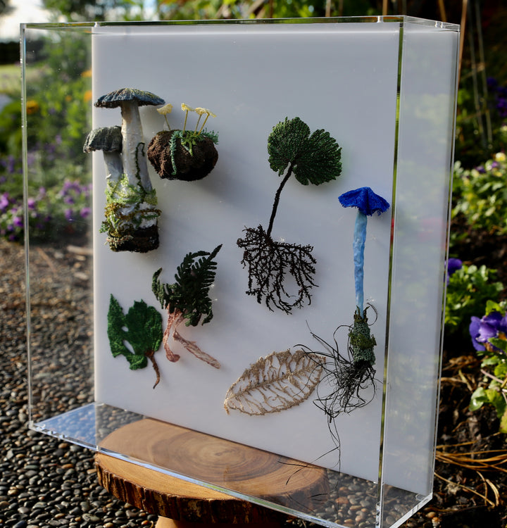 Fungi & ferns of New Zealand 3D Thread Sculpture. (commission)