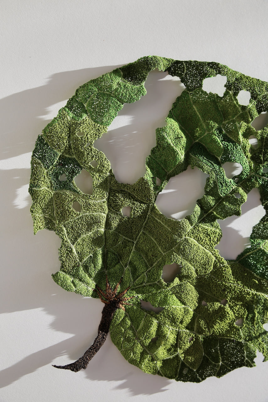 Giant Kawakawa Leaf 3D Thread Sculpture #7.