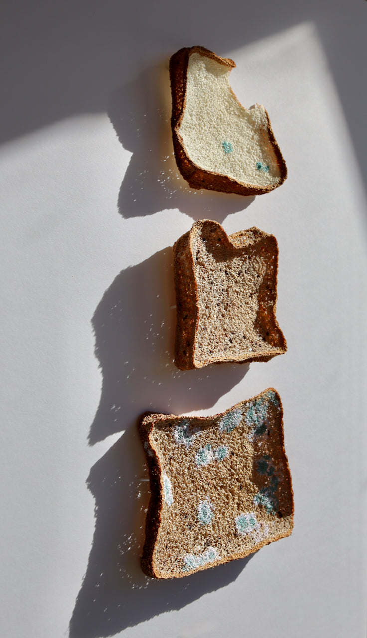 Bread Trio. 3D Thread Sculptures. #2