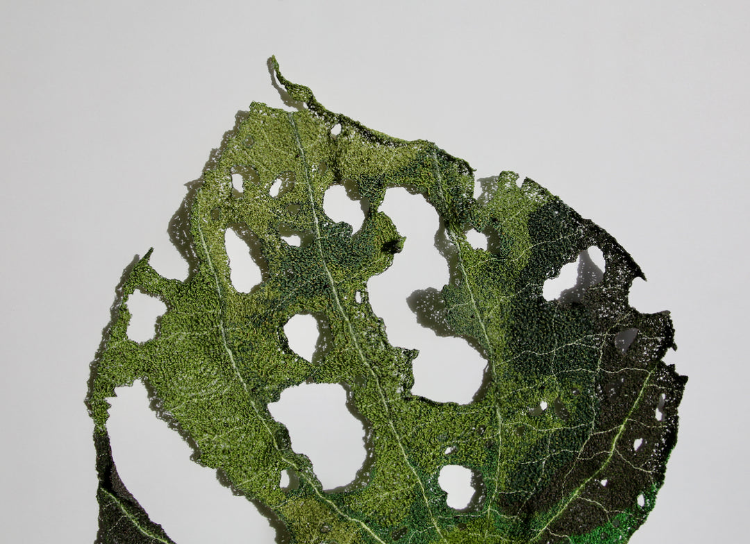 Giant Kawakawa Leaf. #10.  3D Fibre art.