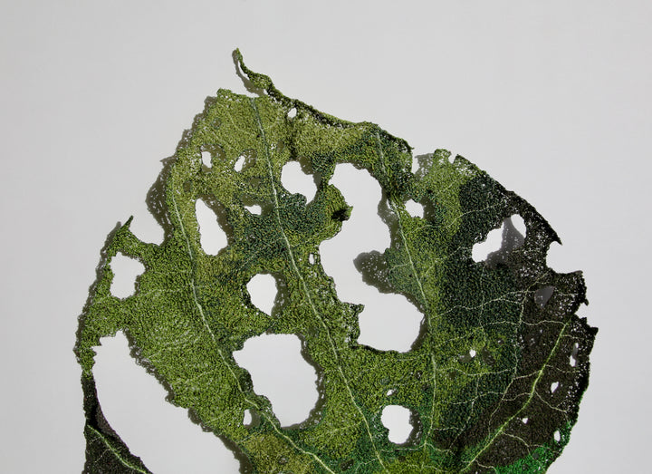 Giant Kawakawa Leaf. #10.  3D Fibre art.