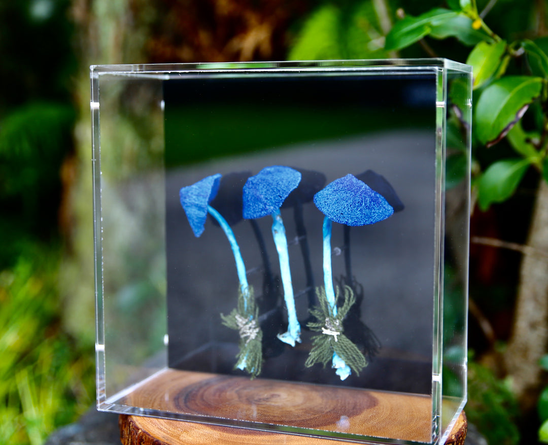 Werewere Kokako Fungi 3D Thread Sculpture #2.