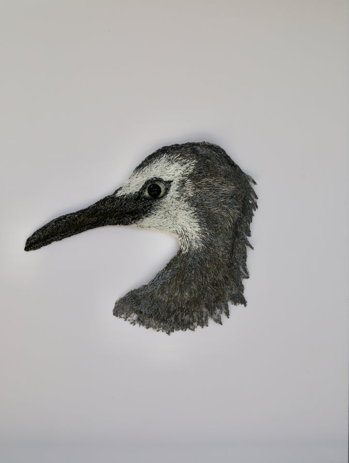 White Faced Heron 3D Thread Sculpture.