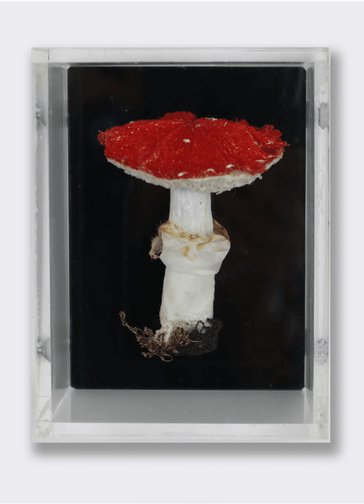 Amanita Fungi 3D Sculptural Embroidery