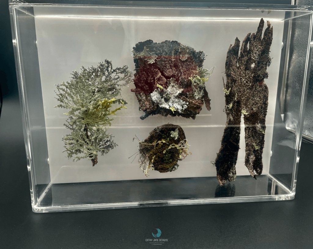 Bark And Lichen Study 3D Sculptural Embroidery. Embroidery