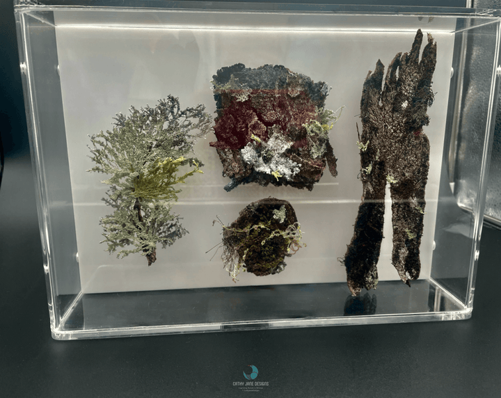 Bark And Lichen Study 3D Sculptural Embroidery. Embroidery