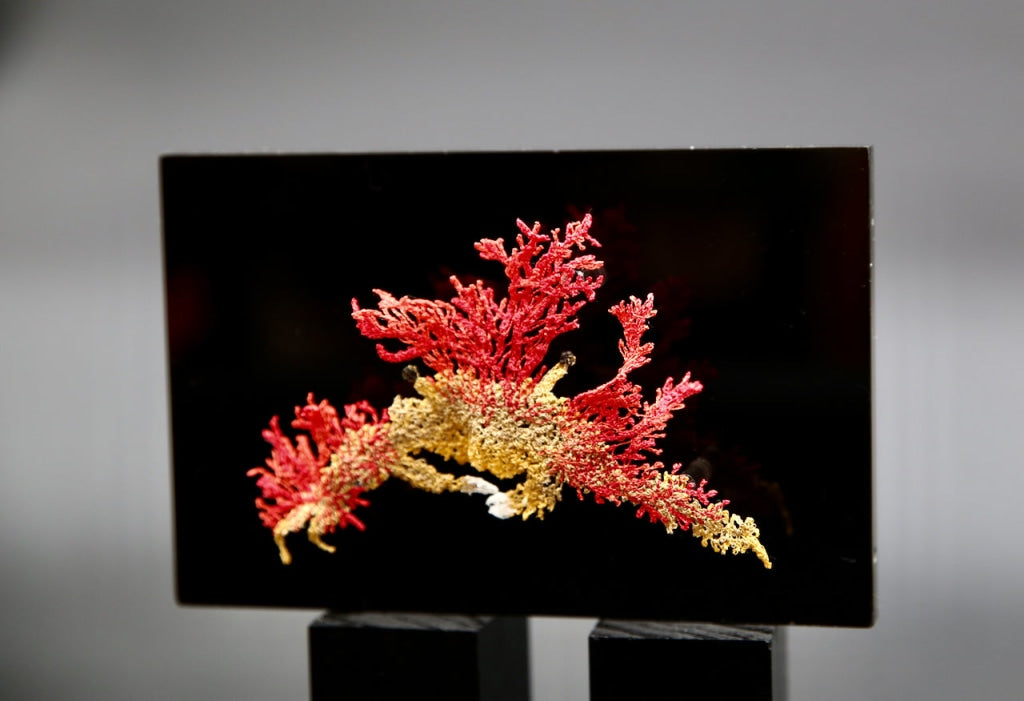 Camouflage Crab 3D Sculptural Embroidery. Embroidery