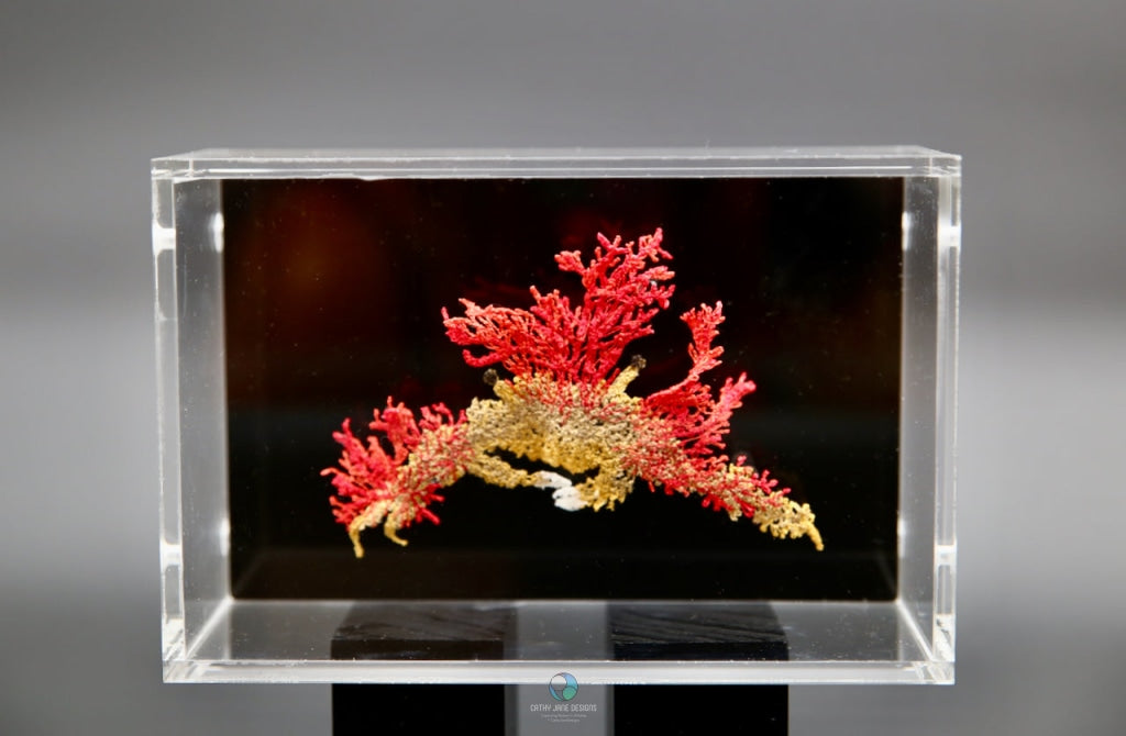 Camouflage Crab 3D Sculptural Embroidery. Embroidery