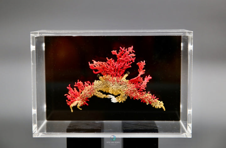 Camouflage Crab 3D Sculptural Embroidery. Embroidery