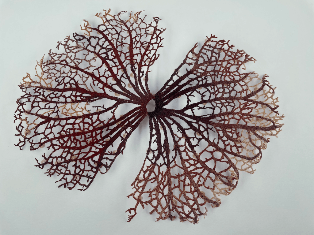 Fallen Leaves Limited Edition Fine Art Print