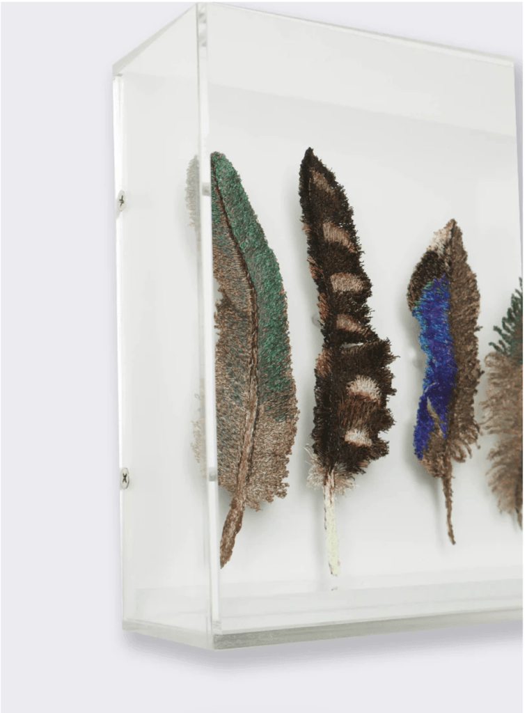 Feathers Of New Zealand 3D Sculptural Embroidery. Embroidery