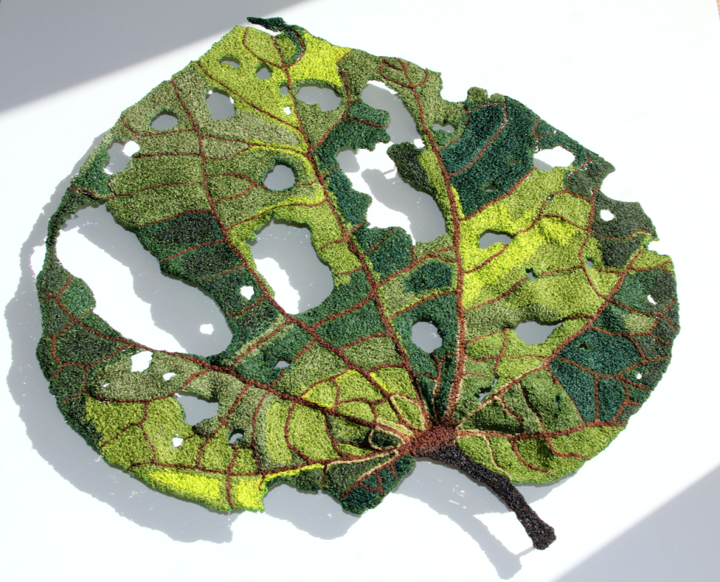 Giant Kawakawa Leaf - Cathy Jane Designs