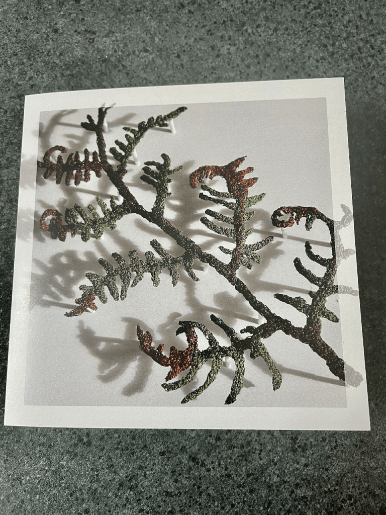 Cathy Jane Designs - Greeting card set