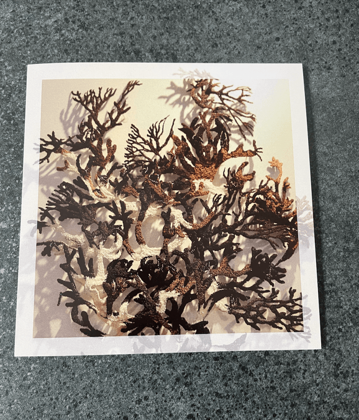 Cathy Jane Designs - Greeting card set