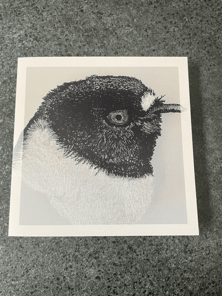 Cathy Jane Designs - Greeting card set