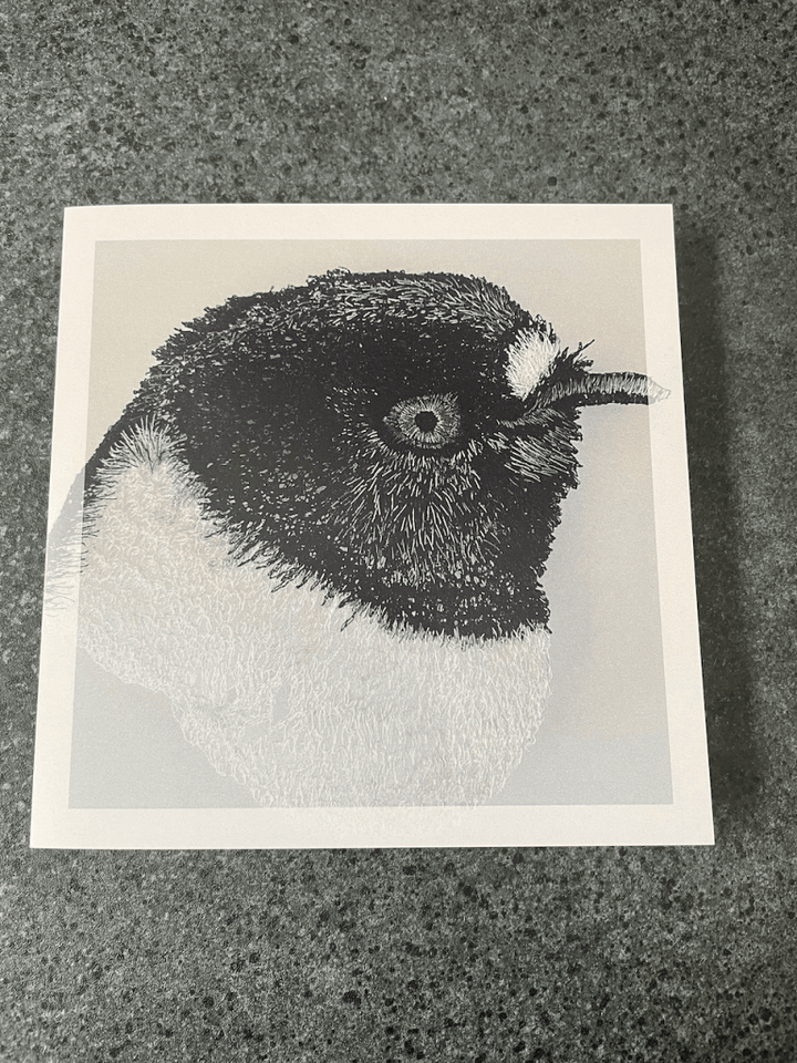 Cathy Jane Designs - Greeting card set