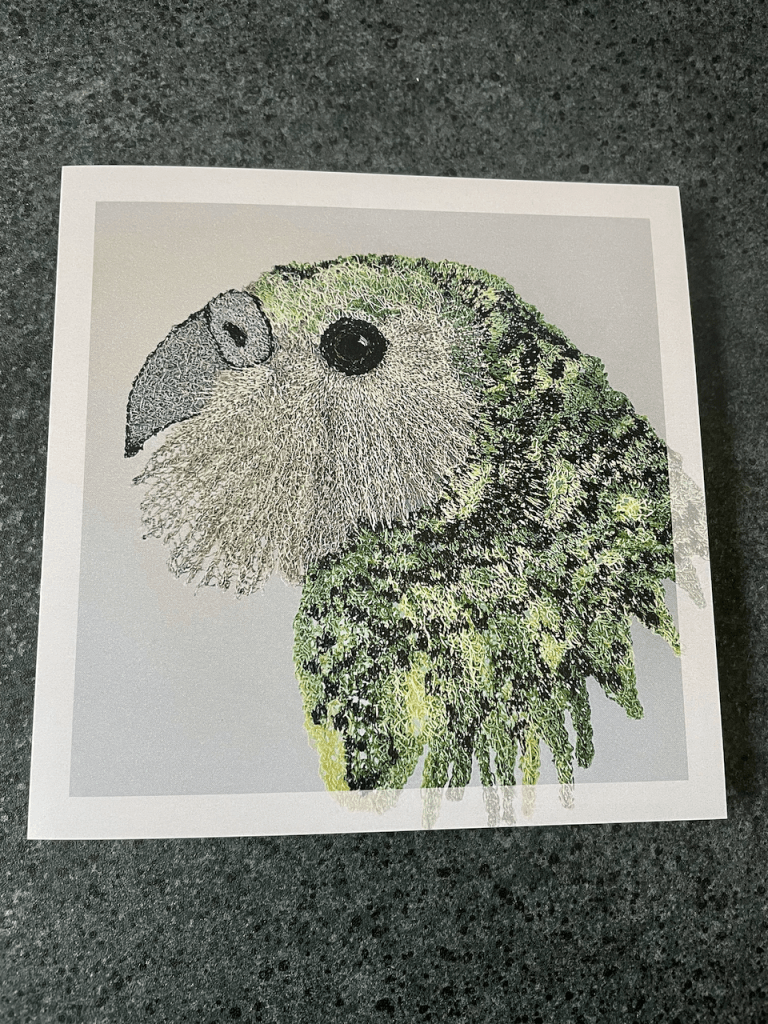 Cathy Jane Designs - Greeting card set