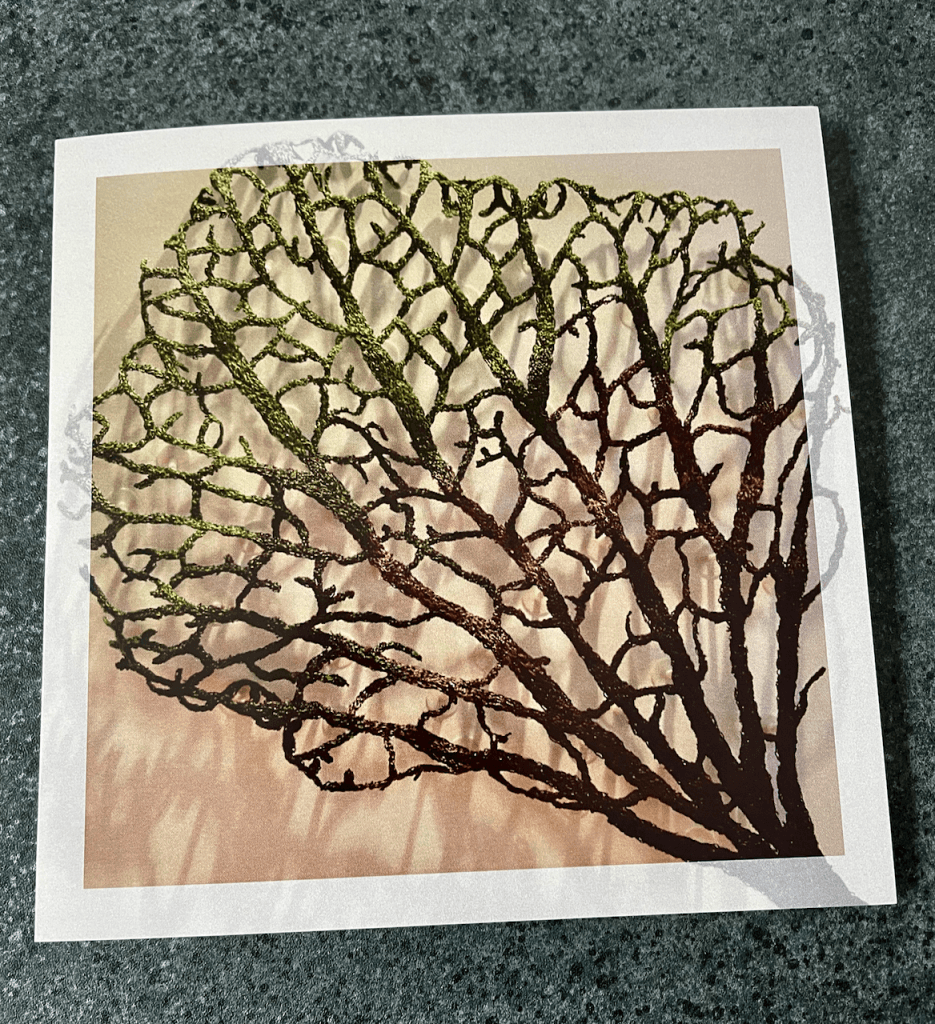 Cathy Jane Designs - Greeting card set