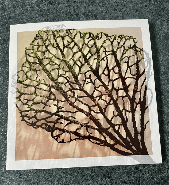 Cathy Jane Designs - Greeting card set