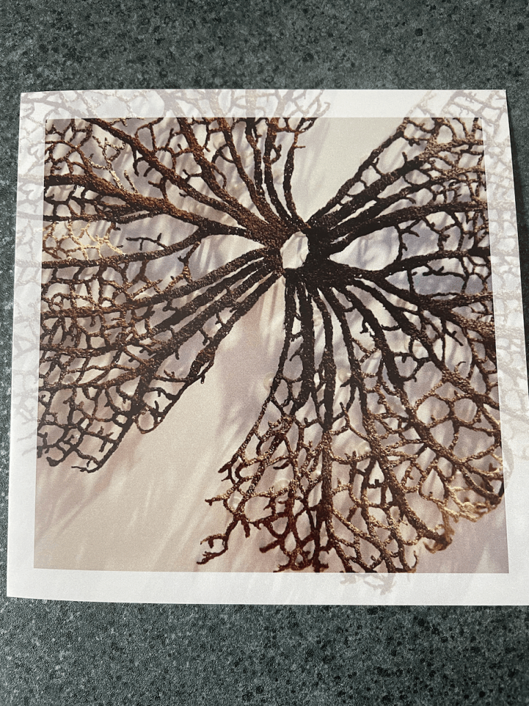 Cathy Jane Designs - Greeting card set