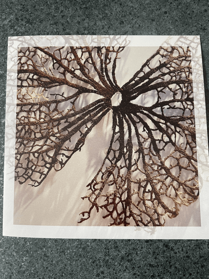 Cathy Jane Designs - Greeting card set