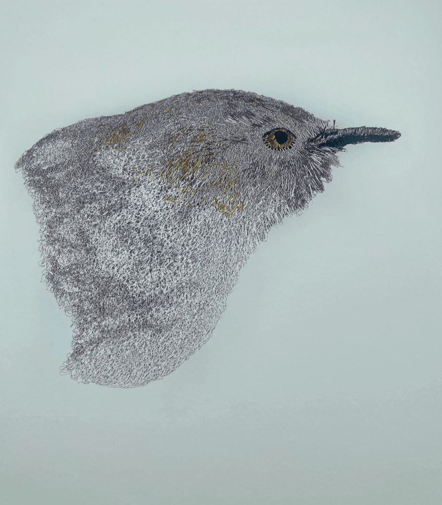 Grey Warbler Limited Edition Fine Art Print