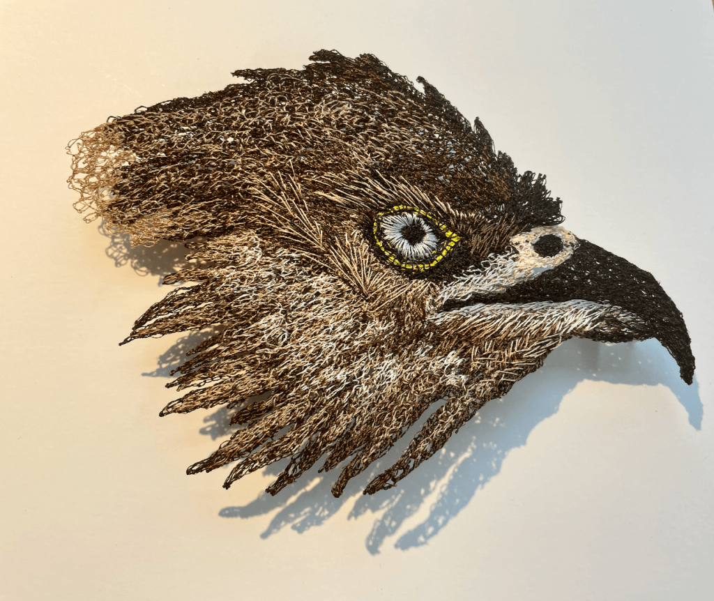 Harrier Hawk - Cathy Jane Designs