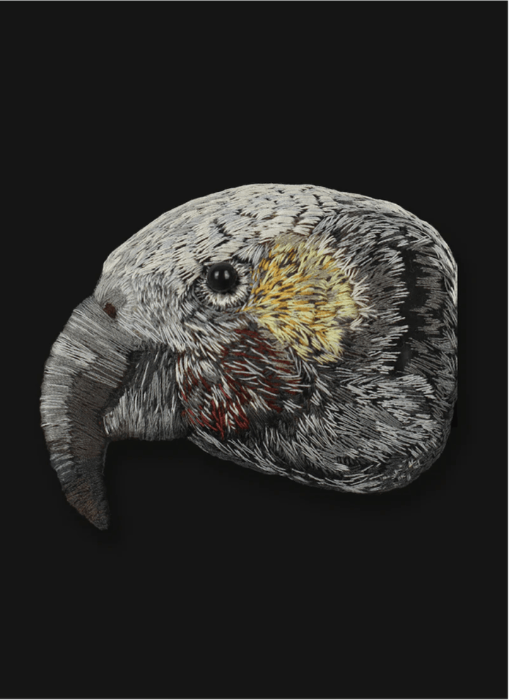 Kaka 3D Sculptural Embroidery. Embroidery