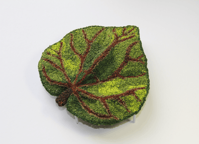 Kawakawa Leaf sculptural embroidery #2. - Cathy Jane Designs