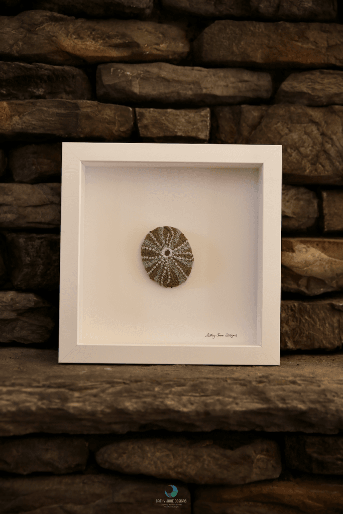 Kina Shell Sculptural Embroidery #2. Sculptured Embroidery Fauna