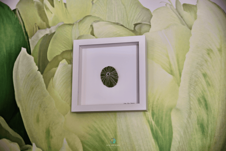 Kina Shell Sculptural Embroidery #2. Sculptured Embroidery Fauna