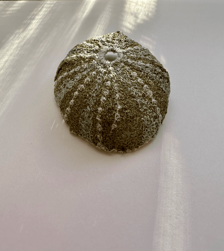 Kina Shell Sculptural Embroidery #2. Sculptured Embroidery Fauna