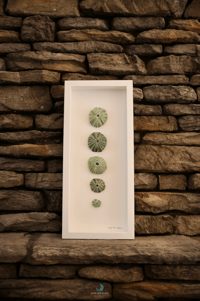 Kina Shell Sculptural Embroidery Sculptured Embroidery Fauna