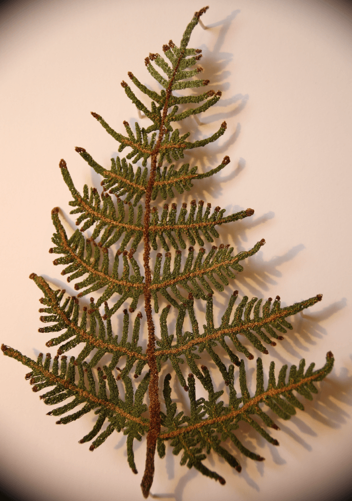 Large Bracken Leaf - Cathy Jane Designs