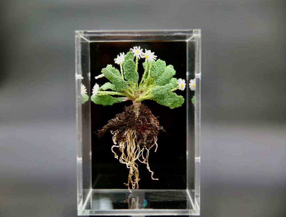 Lawn Daisy 3D Sculptural Embroidery. Embroidery Vip