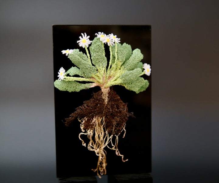 Lawn Daisy 3D Sculptural Embroidery. Embroidery Vip
