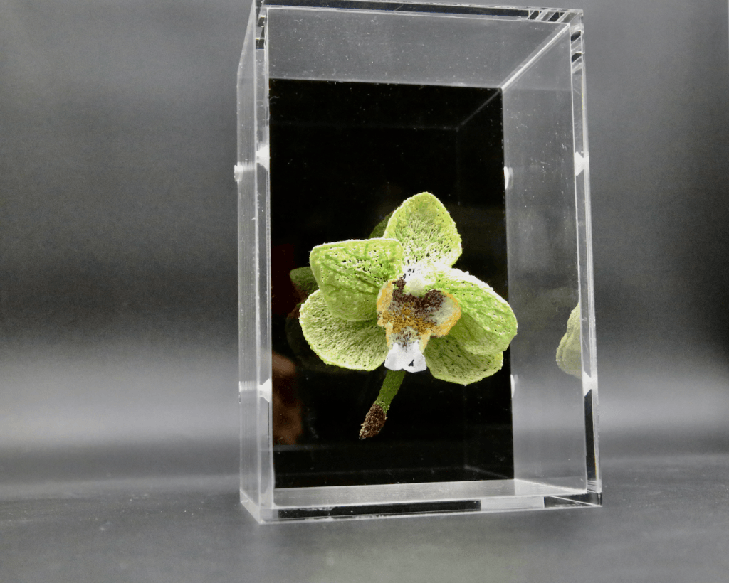 Moth Orchid ( Phalaenopsis) Sculptural Embroidery. 3D Embroidery