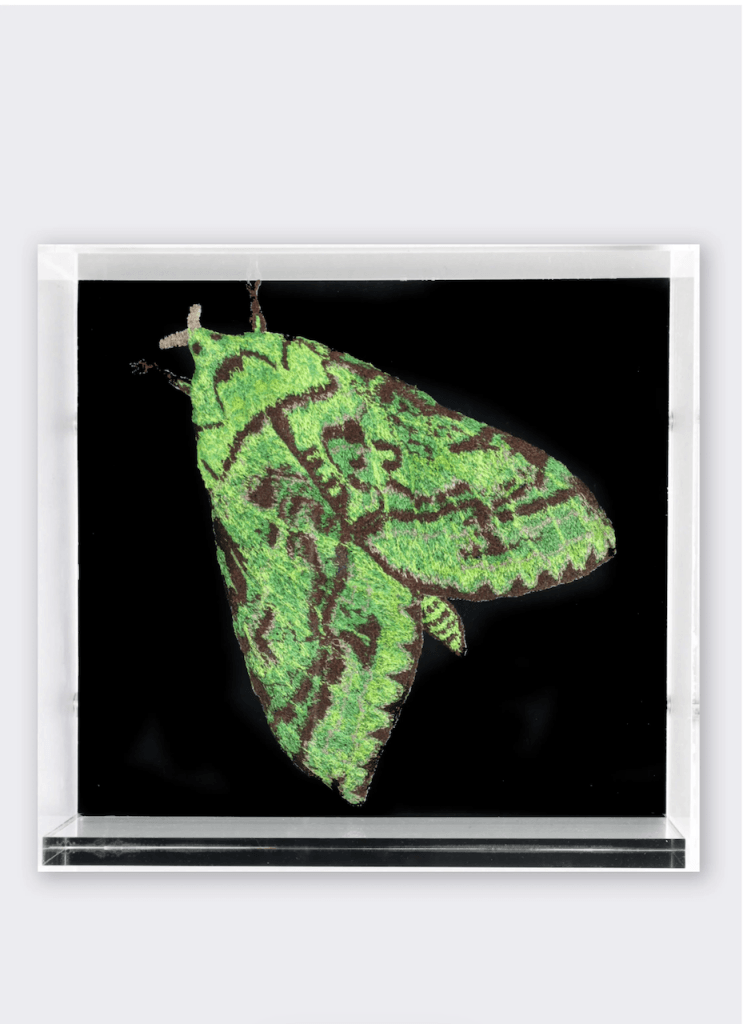 Nz Puriri Moth 3D Sculptural Embroidery. Embroidery