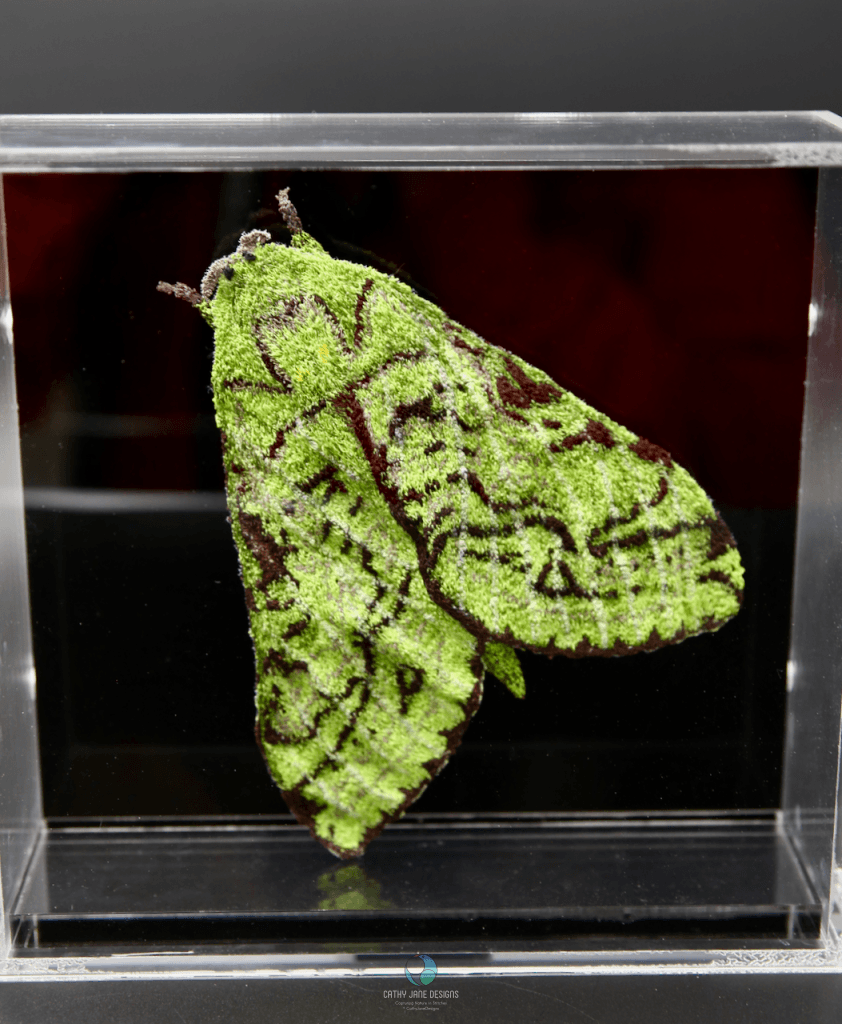 Nz Puriri Moth 3D Sculptural Embroidery. Embroidery