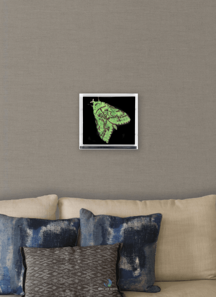 Nz Puriri Moth 3D Sculptural Embroidery. Embroidery