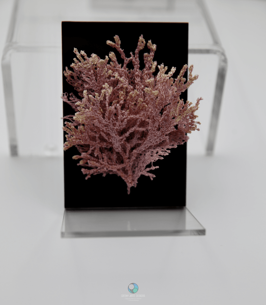 Pink Seaweed 3D Sculptural Embroidery