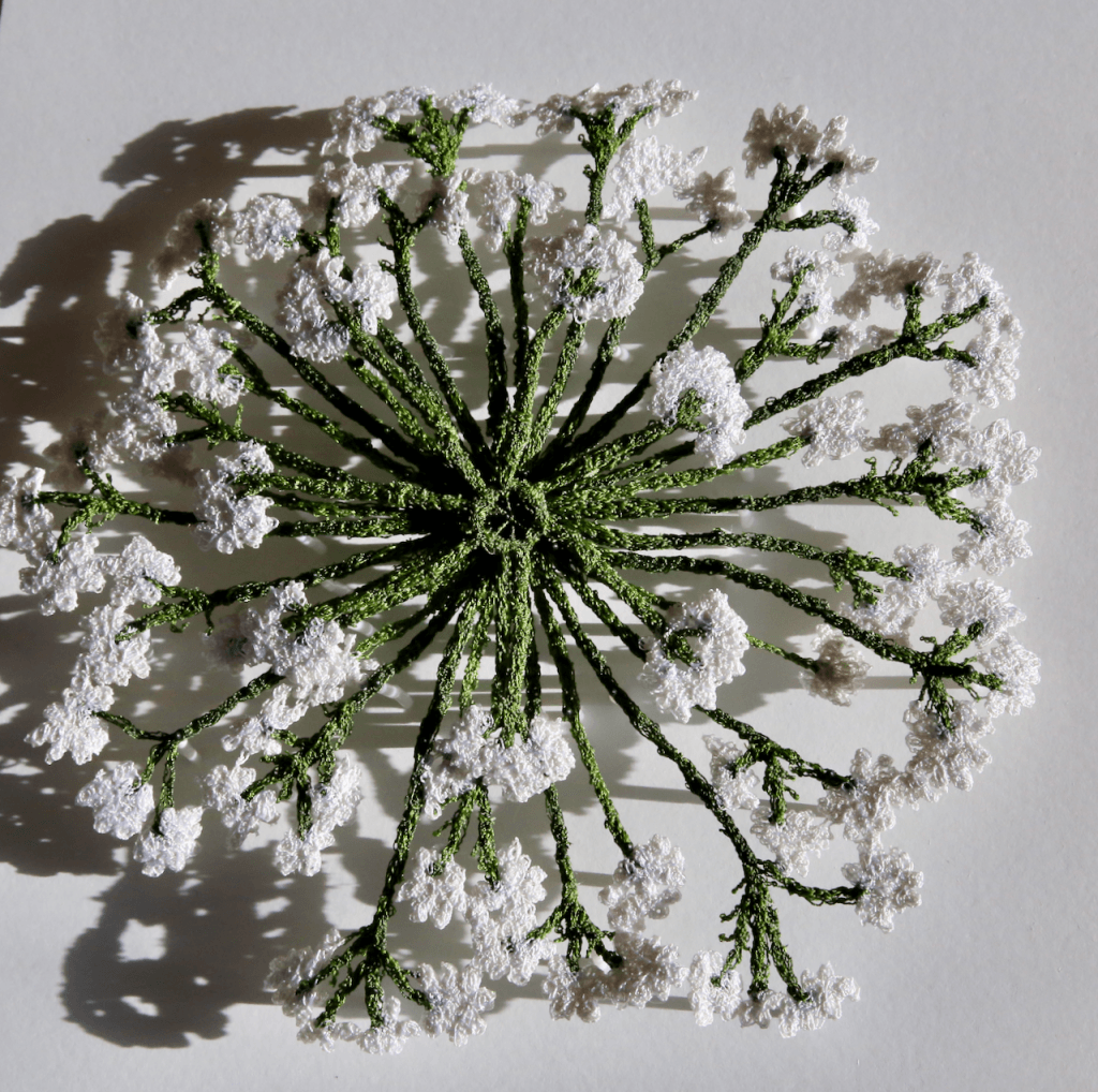 Queen Anne's lace sculptural embroidery - Cathy Jane Designs