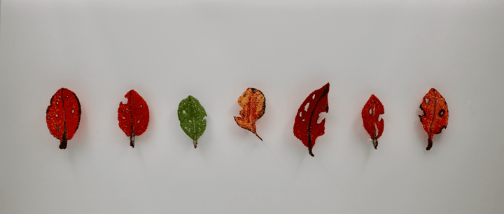 Rata Leaves Sculptural Embroidery Sculptured Embroidery Flora
