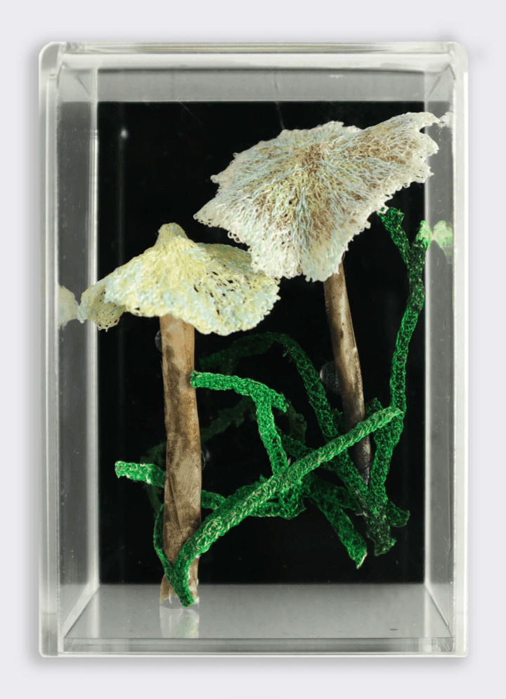 Steely Blue Fungi 3D Sculptural Embroidery